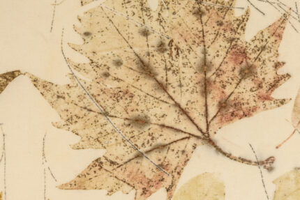 AUTUNNO ASSOLUTO