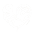 logo cuorofilla w